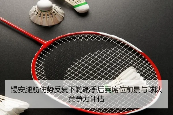 锡安腿筋伤势反复下鹈鹕季后赛席位前景与球队竞争力评估