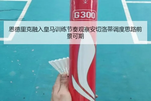 恩德里克融入皇马训练节奏观察安切洛蒂调度思路前景可期