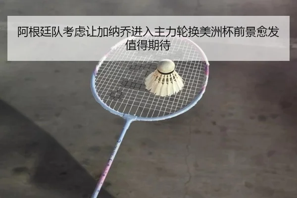 阿根廷队考虑让加纳乔进入主力轮换美洲杯前景愈发值得期待
